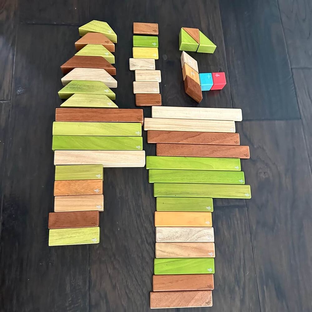 52 Piece Set Magnetic Wooden Blocks Tegu Classics